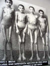 nios esqueleticos en Auschwitz