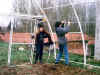 Invernadero